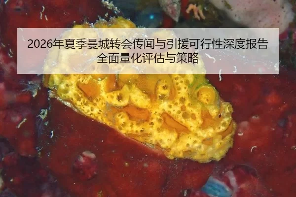 nian-xia-ji-man-cheng-zhuan-hui-chuan-wen-yu-yin-yuan-ke-xing-xing-shen-du-bao-gao-quan-mian-liang-hua-ping-gu-yu-ce-lve-2-164.jpg