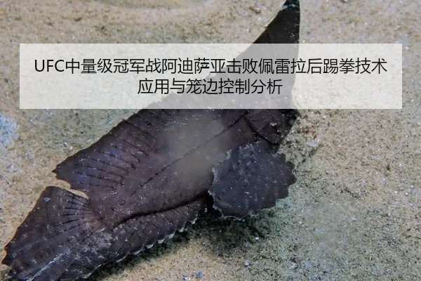 UFC中量级冠军战阿迪萨亚击败佩雷拉后踢拳技术应用与笼边控制分析